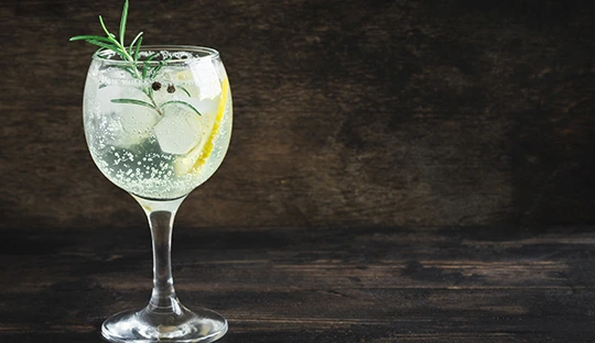 Gin Tonic